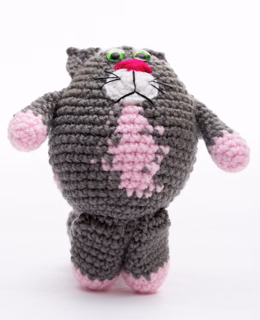 Catnip Erva do Gato